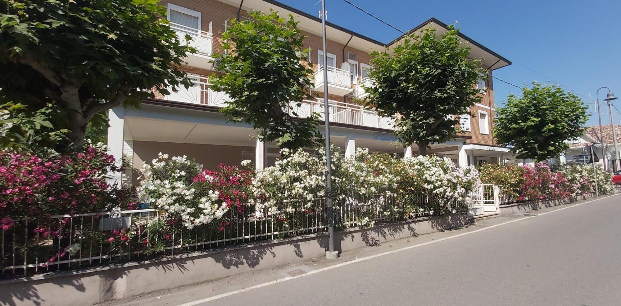 בלריה-איגאה מרינה B&B Hotel Serenita מראה חיצוני תמונה